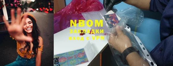 гашик Козельск