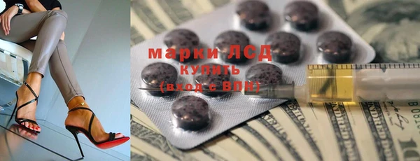 гашик Козельск
