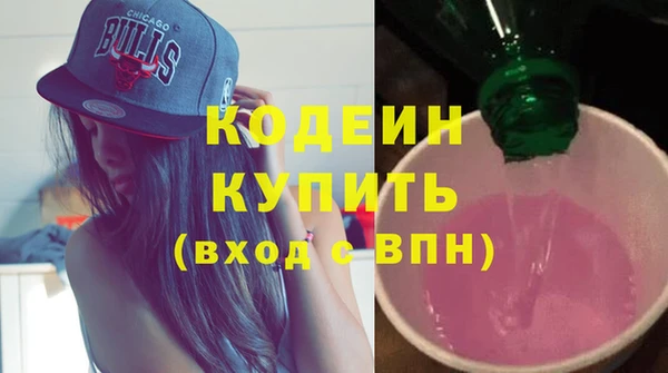 гашик Козельск