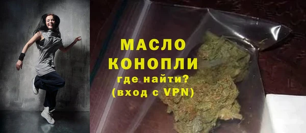 гашик Козельск