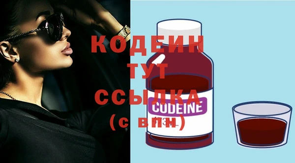 стаф Кодинск