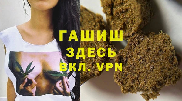 гашик Козельск