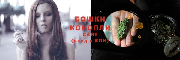 гашик Козельск