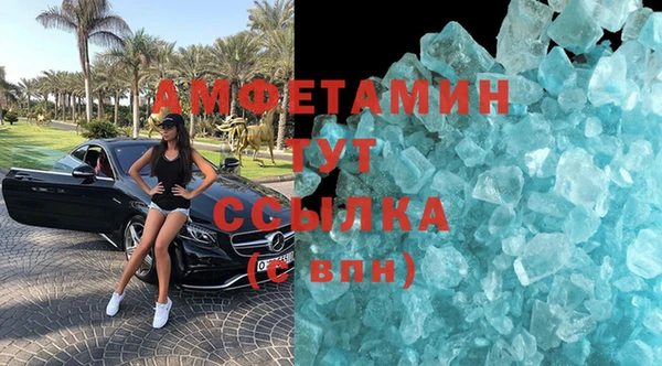 гашик Козельск