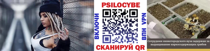 Псилоцибиновые грибы Cubensis  Купить  Райчихинск 