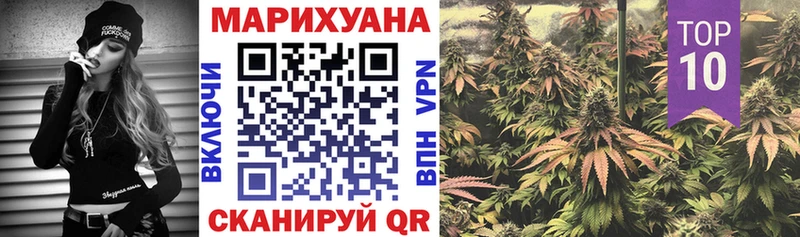 Канабис сатива  Купить закладки  Райчихинск 